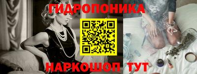 шишки Будённовск