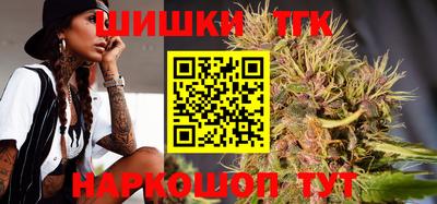 шишки Будённовск