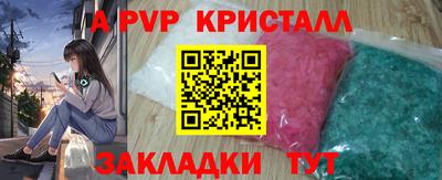 шишки Будённовск