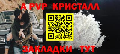 шишки Будённовск