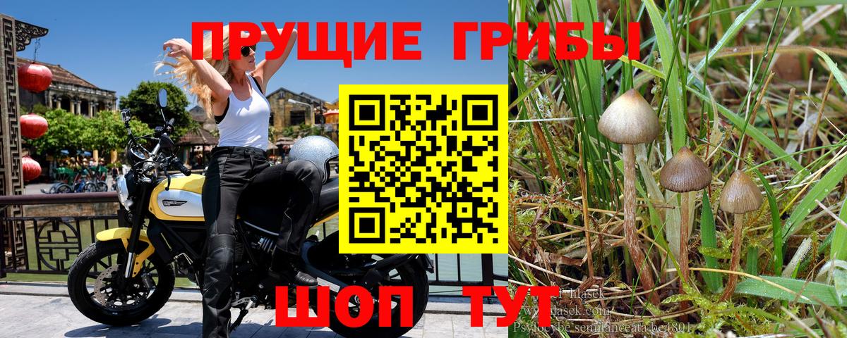 Псилоцибиновые грибы ЛСД  Вход с VPN  Глазов 
